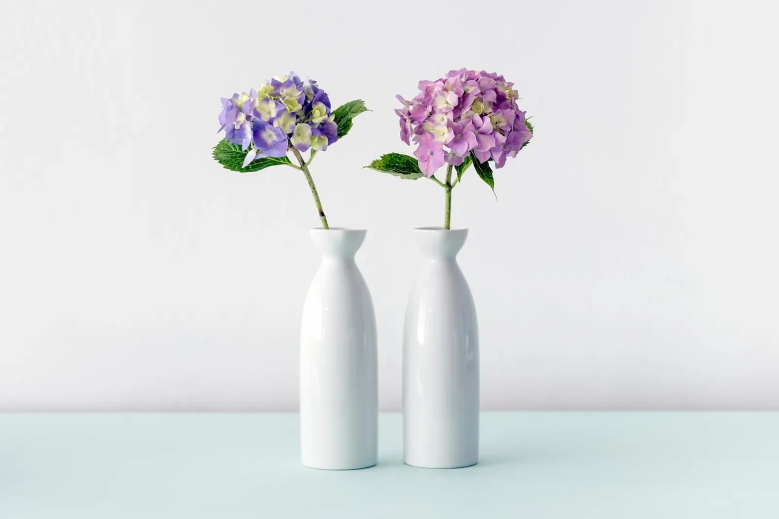 Home & lifestyle accessories — Finishing touches for the home